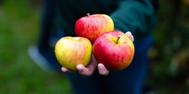 2de jaar STEM-technieken optie agro- biotechnieken