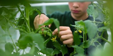 Tuinbouw dubbele finaliteit